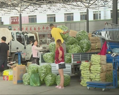 本地瓜果蔬菜主導食用農產品批發市場