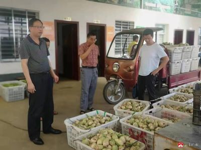 強化農產品質量安全監測監管 全力保障群眾“舌尖上的安全”